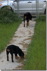 555036_10151802561358903_1164032789_n