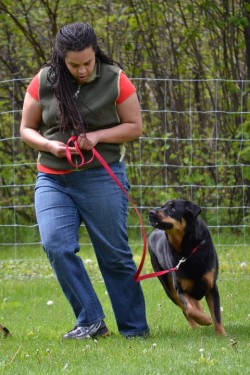 260549_10150212130698903_3270015_n